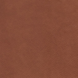 Granada sahara