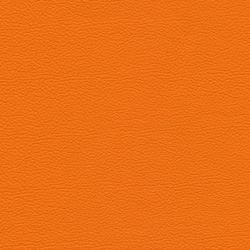 Hermes arancio