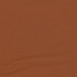 Madras cognac