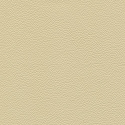 Madras ivory