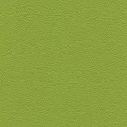 Madras lime