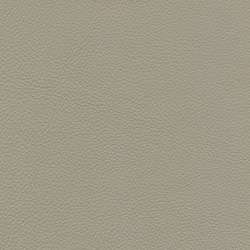 Massif dove