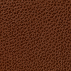 Sierra Antique 001 cognac